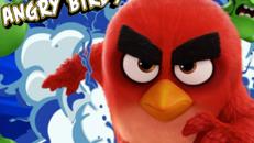 Angry Birds – Lizenzartikel das Original – meet and greet