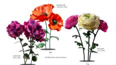 XXL-Flowers/ Gigant Blumen/ Hortensie/ Mohnblume/ Ranunkel/ Blüten aus Handarbeit