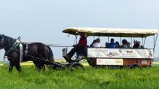 Planwagenfahrten im Eichsfeld