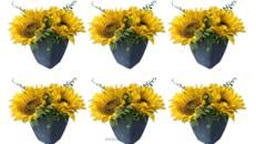 Sonnenblumen 6er Set – Miettisch, Eventtisch, Veranstaltungstisch, Partytisch, Tischdeko
