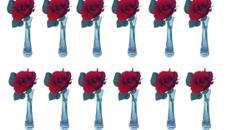rote Rose 12er Set – Miettisch, Eventtisch, Veranstaltungstisch, Partytisch, Tischdeko