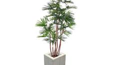 BabyFan Palme 1,6 m – Pflanzen