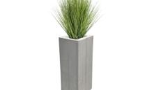 Grasbusch Ø 45 cm – Pflanzen