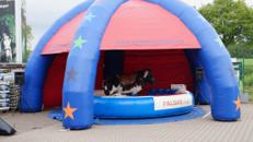 Dome - Überdachung – Springburg, Luftburg, Kinderhüpfburg, Eventmodul