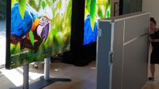 LED Display 330 Diagonale mit E-Fuss – Bildtechnik, Präsentationstechnik, Medientechnik