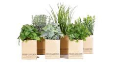 Kräutergarten Frühling / 12 er Set – Miettisch, Eventtisch, Veranstaltungstisch, Partytisch