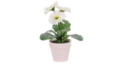 Gerbera-Kunstblumen Weiß 6er Set – Miettisch, Eventtisch, Veranstaltungstisch, Partytisch, Tischdeko