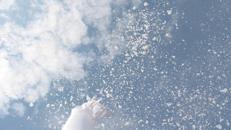 Skydancer, Snowdancer