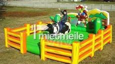 Bullriding