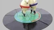 Sumo Ringen, Sumo Wresting - Sumoringen