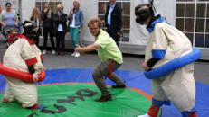 Sumo Wrestling