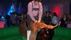 Bullriding, Bull Riding, Bullen reiten & Rodeo