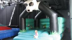 Hüpfburg Panda