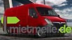 Transporter mit Fahrer