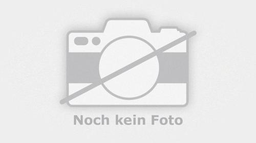 Schnellzeichnen Porträt Karikaturen