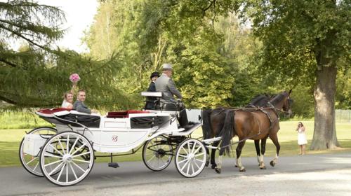 Die Kutschfahrt für alle Anlässe