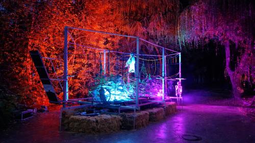 Klettern im Geisterwald– Co2 neutral - mobiler Kinderhochseilgarten