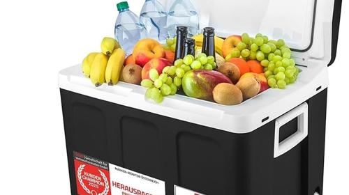 Minikühlschrank Kühlbox 45L elektrisch 12V 230V Anschluss 6°C bis 50°C für Auto & Steckdose