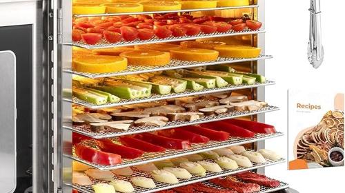 Dörrgerät trocknen entsaften von Obst Früchten Gemüse u.a. Edelstahl 500 Watt 10 Stufen 30-90°C