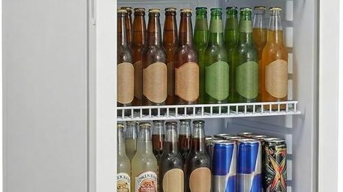 Getränkekühlschrank 237 L Bierkühlschrank Fässchenkühlschrank 110 W 6 verstellbaren Einlegeböden