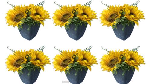 Sonnenblumen 6er Set – Miettisch, Eventtisch, Veranstaltungstisch, Partytisch, Tischdeko