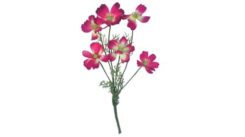 Schmuckkörbchen pink 6er Set – Miettisch, Eventtisch, Veranstaltungstisch, Partytisch, Tischdeko