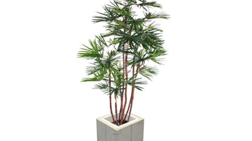 BabyFan Palme 1,6 m – Pflanzen