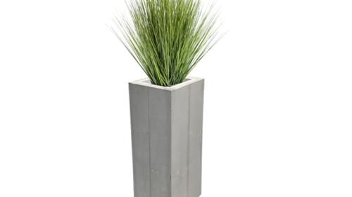 Grasbusch Ø 45 cm – Pflanzen