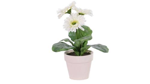 Gerbera-Kunstblumen Weiß 6er Set – Miettisch, Eventtisch, Veranstaltungstisch, Partytisch, Tischdeko
