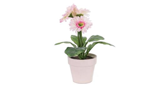 Gerbera-Kunstblumen Pink 6er Set – Miettisch, Eventtisch, Veranstaltungstisch, Partytisch, Tischdeko