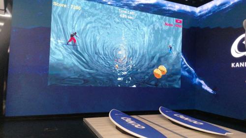 Multimedia Surf Simulator mit Software Branding!!! (Surfsimulator )