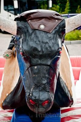 Bullriding mieten & vermieten - Bullriding in Vechta