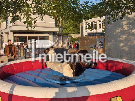 Bullriding mieten & vermieten - Bullriding/Rodeo - Klassisches Bullenreiten in Freiburg im Breisgau