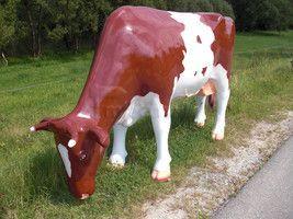 Melkkuh mieten & vermieten - Vermietung Melkkuh - "Melkkuh Rosi" in Alsbach-Hähnlein
