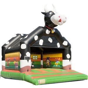 Hüpfburg mieten & vermieten - Hüpfburg günstig mieten ab 69 € / Hüpfburg Verleih Aachen / Köln / Düsseldorf in Aachen