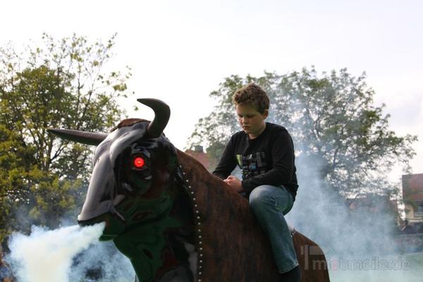 Bullriding mieten & vermieten - Bullriding Sonderangebot 2015! Profi Anlage! in Hünfelden