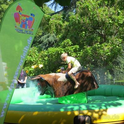Bullriding mieten & vermieten - Bullriding Sonderangebot 2015! Profi Anlage! in Hünfelden