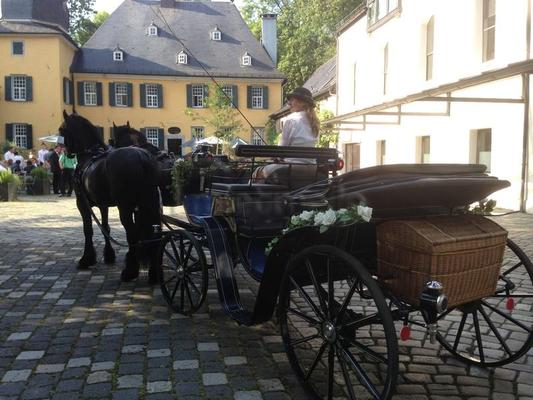 Kutsche mieten & vermieten - Kutschfahrten zu jedem Anlass in Solingen
