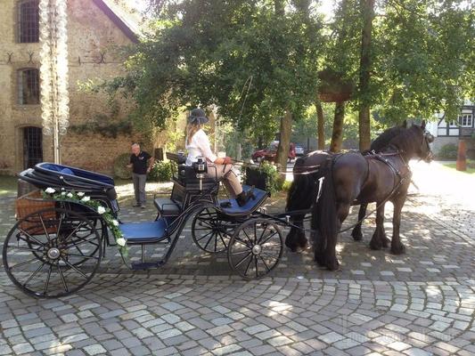 Kutsche mieten & vermieten - Kutschfahrten zu jedem Anlass in Solingen