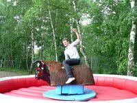 Bullriding mieten & vermieten - Rodeoreiten inkl. Betreuung und Haftpflichtversicherung / Bullriding / Rodeobulle (inkl. 19% MwSt) in Dortmund