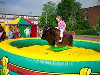 Bullriding mieten & vermieten - Rodeoreiten inkl. Betreuung und Haftpflichtversicherung / Bullriding / Rodeobulle (inkl. 19% MwSt) in Dortmund