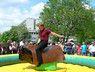Bullriding mieten & vermieten - Rodeoreiten inkl. Betreuung und Haftpflichtversicherung / Bullriding / Rodeobulle (inkl. 19% MwSt) in Dortmund