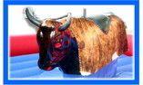 Bullriding mieten & vermieten - Rodeo Bullriding >Ob Dose, Auspuff oder Bulle, ganz nach Ihrem Mietwunsch! in Dinslaken