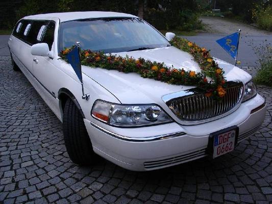 Limousinen mieten & vermieten - Stretchlimousine in weiß in Reisbach