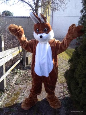 Skydancer mieten & vermieten - Osterhase, Hund Schnüffel, Krokodil und Shaun das Schaf als Walk Act Figuren & Ballon Figuren, Hüpfburg, Torwand, Glücksrad, Ballontiere, Ballon Künstler, Kinderdisco, Kinder Party in Herbertingen