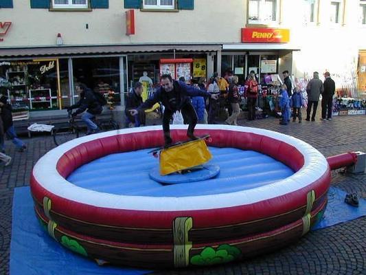Simulatoren mieten & vermieten - Surf-/ Snow- oder Skateboard Simulator in Freiburg im Breisgau