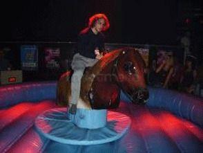 Bullriding mieten & vermieten - Rodeostier, Bullenreiten, Bullridingverleih in Göppingen