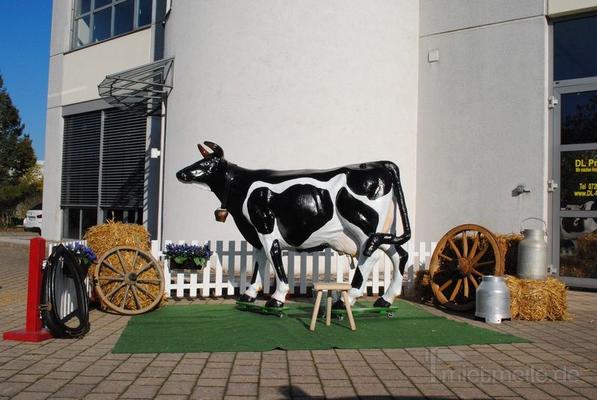Melkkuh mieten & vermieten - Kuh Wettmelken.mehrere Kühe auf Lager! Inkl.MWSt. in Sinsheim
