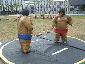 Sumo-Ringen mieten & vermieten - Sumo Ringen Inkl. MWSt. in Sinsheim