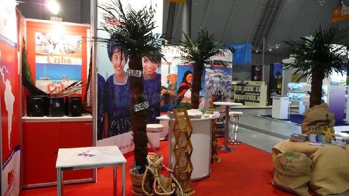 Pflanzen mieten & vermieten - Palmen,Bambuspflanzen in Sinsheim